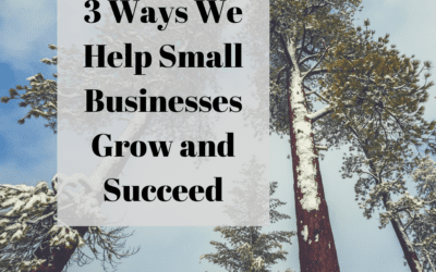 3 Ways We Help Small Businesses Grow and Succeed