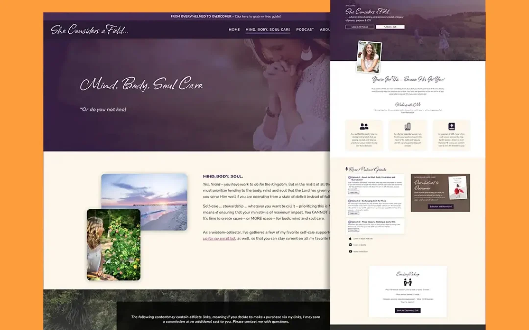 She Considers a Field website