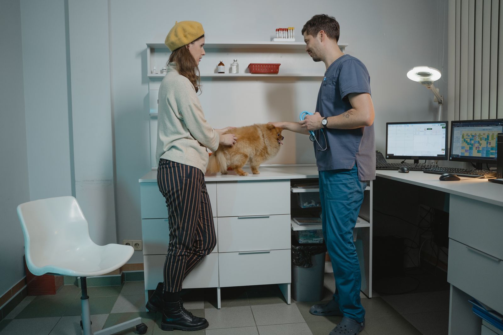 Pet owner talking with a veterinarian beside a Pomeranian on the clinic counter